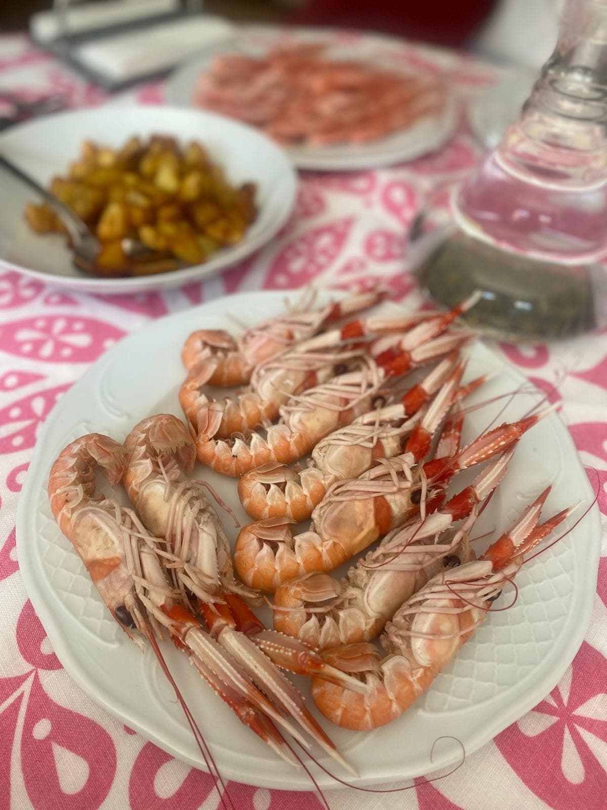 Foto del día