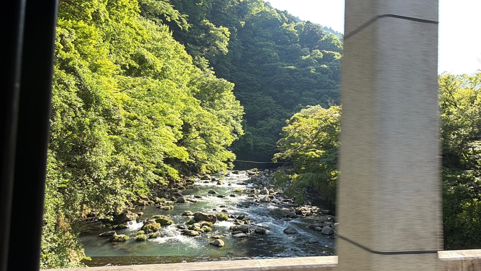 Foto del día