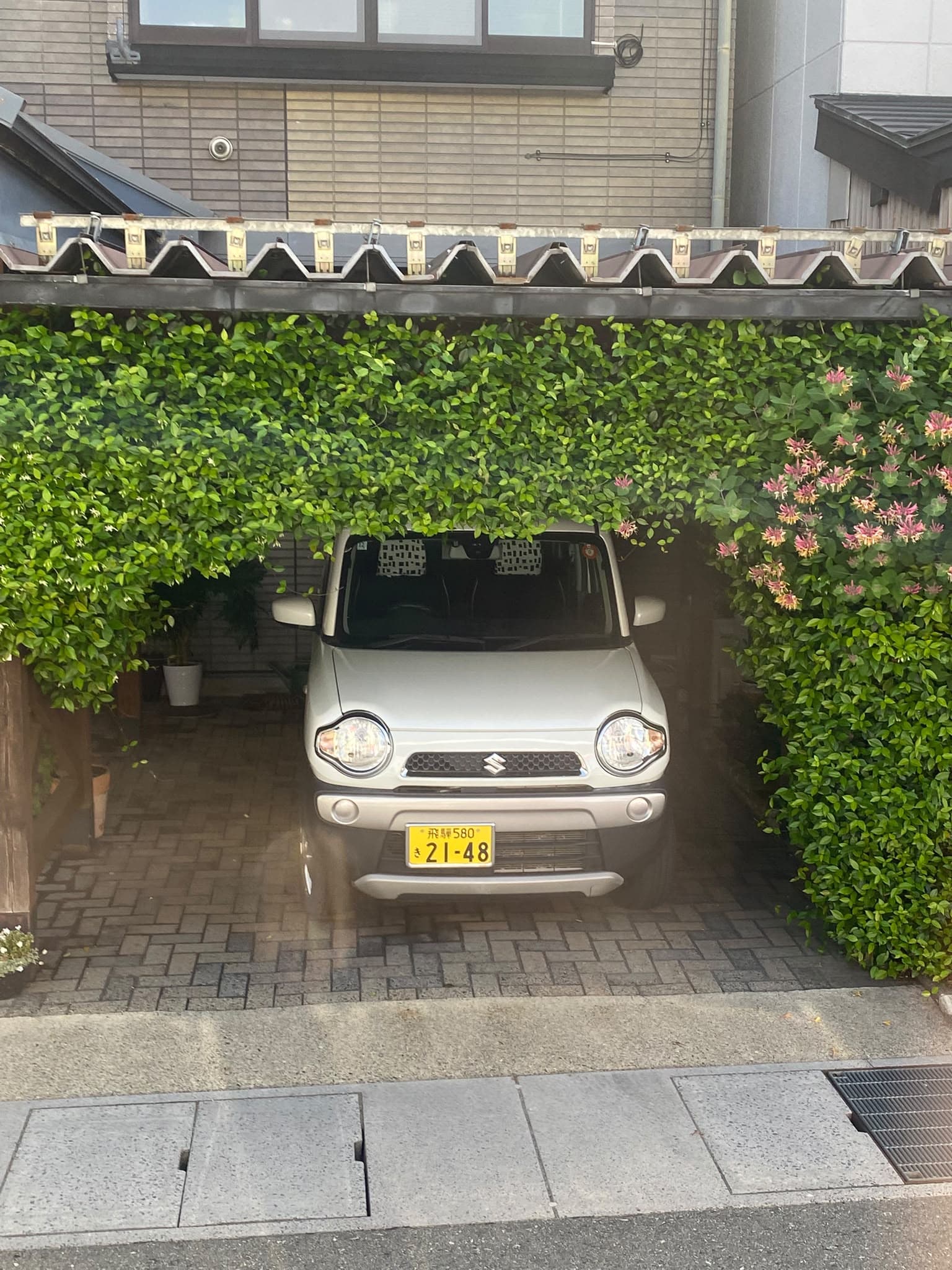 Más fotos del día 25 entre Shirakawa-go y Tokio