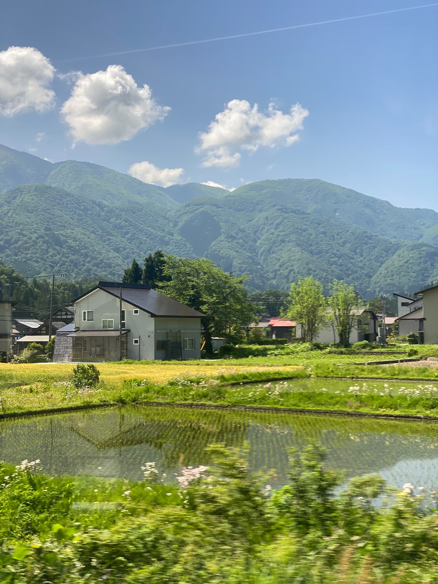 Más fotos del día 25 entre Shirakawa-go y Tokio