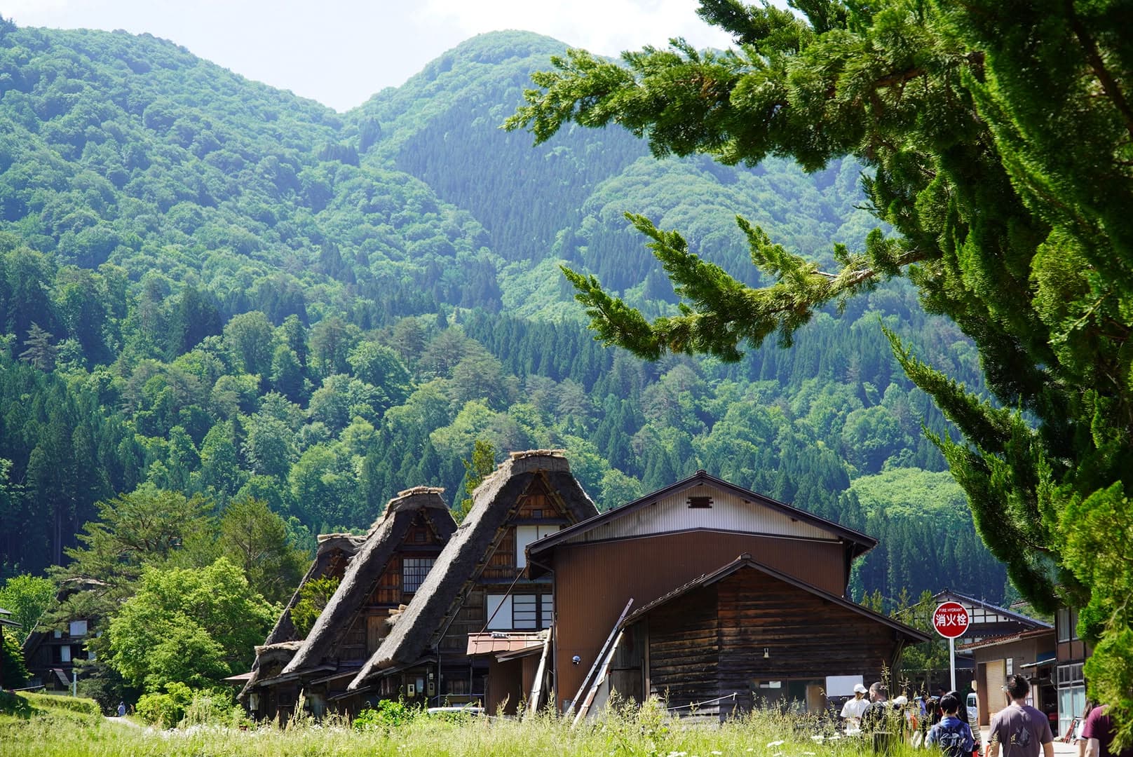 Más fotos del día 25 entre Shirakawa-go y Tokio