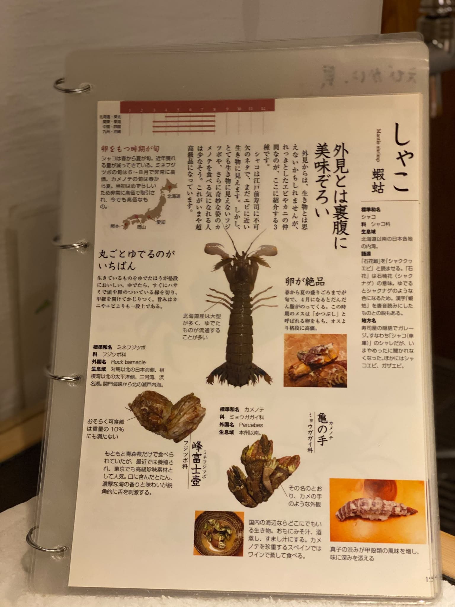 Día 26 en Ginza y cena en Sushi Sho Masa