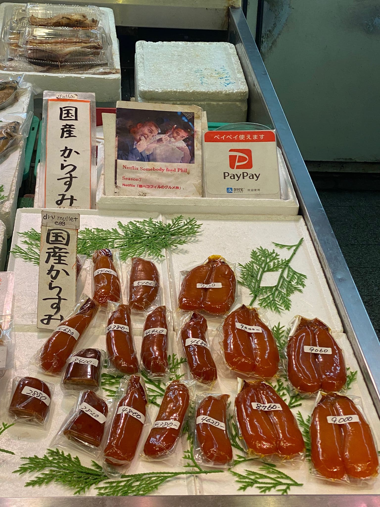 Takayama, día 24