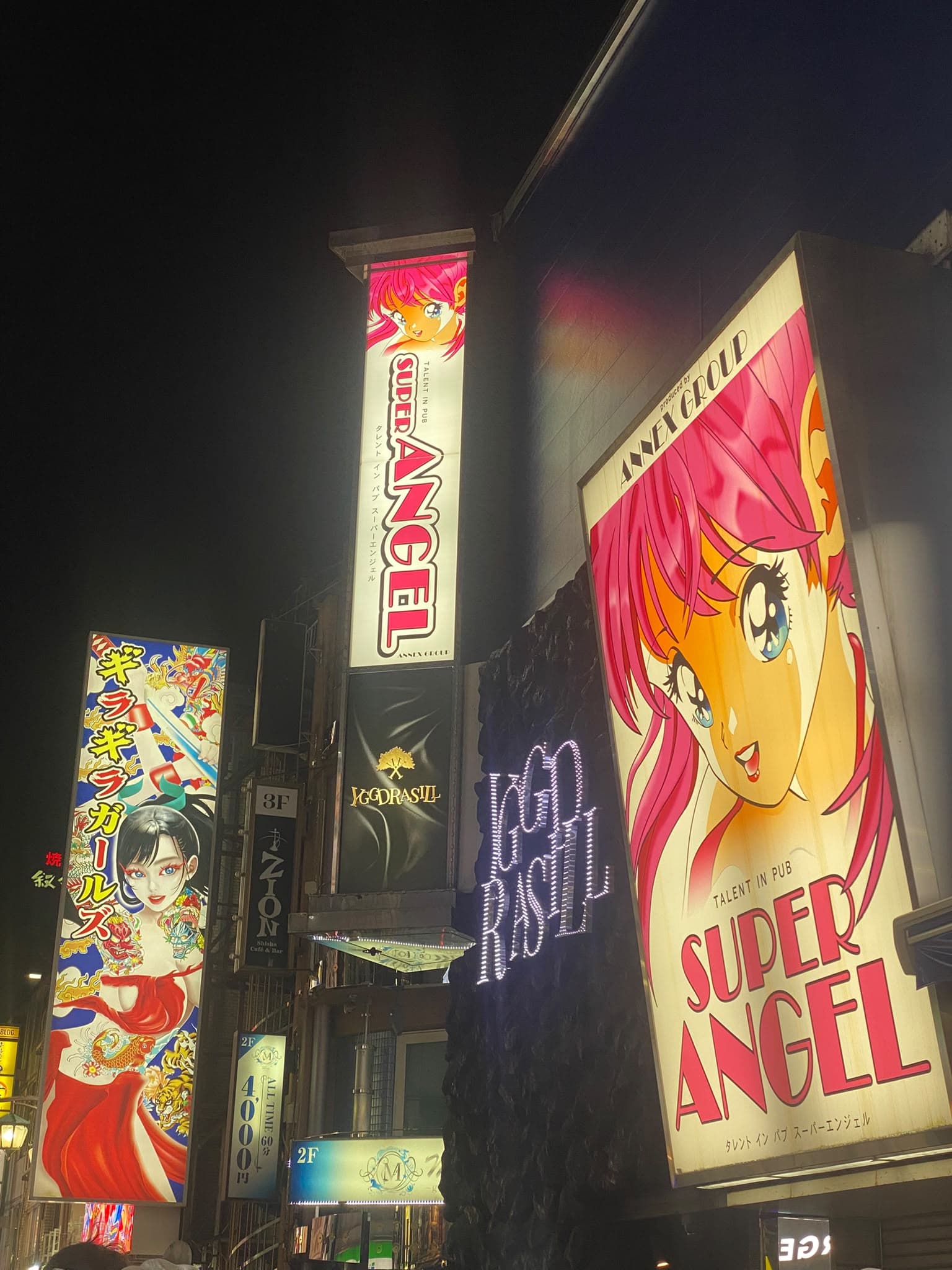 Carteles imposibles y neones de Kabukicho.