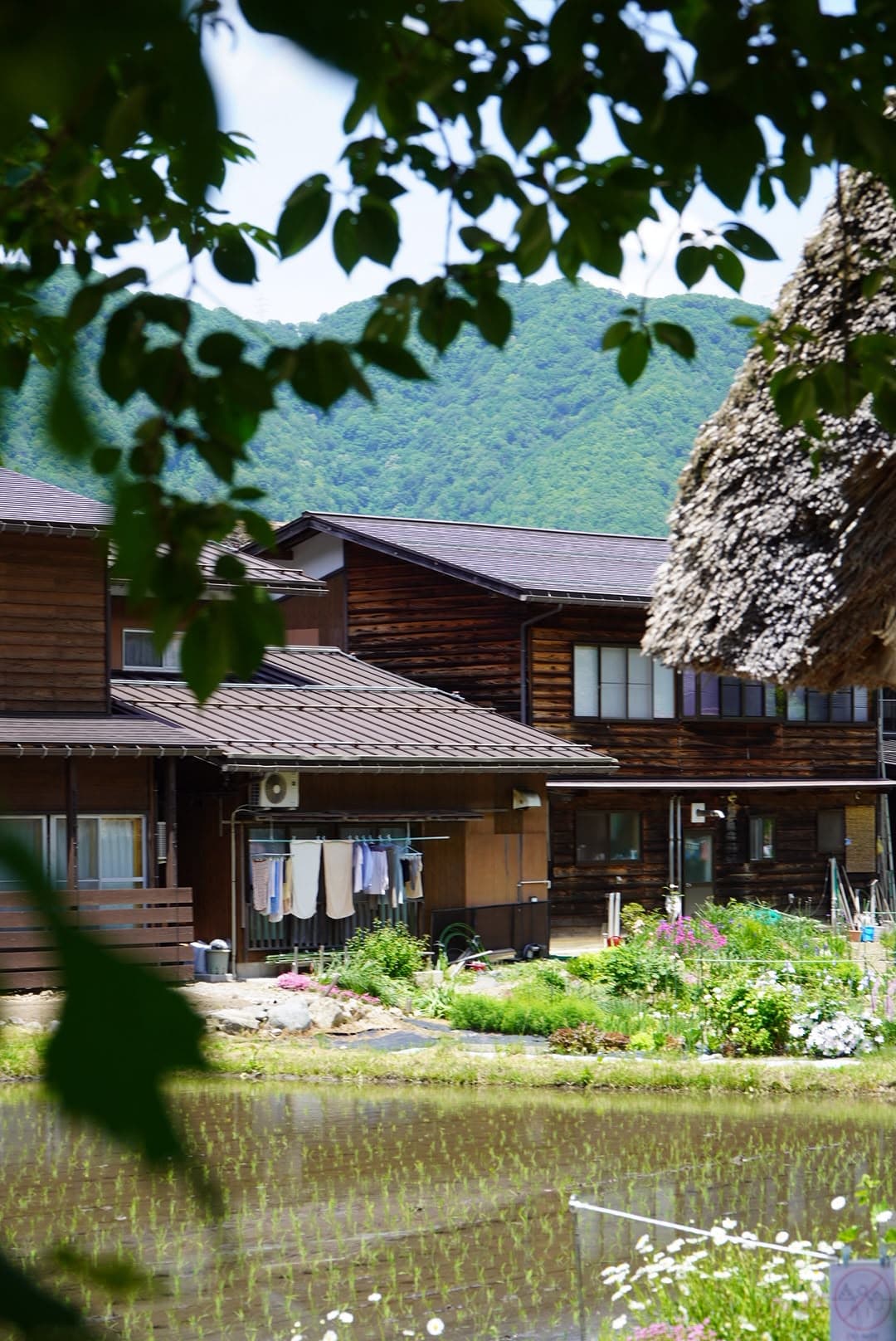 Casas y montañas en Shirakawa-go, enmarcadas entre hojas.