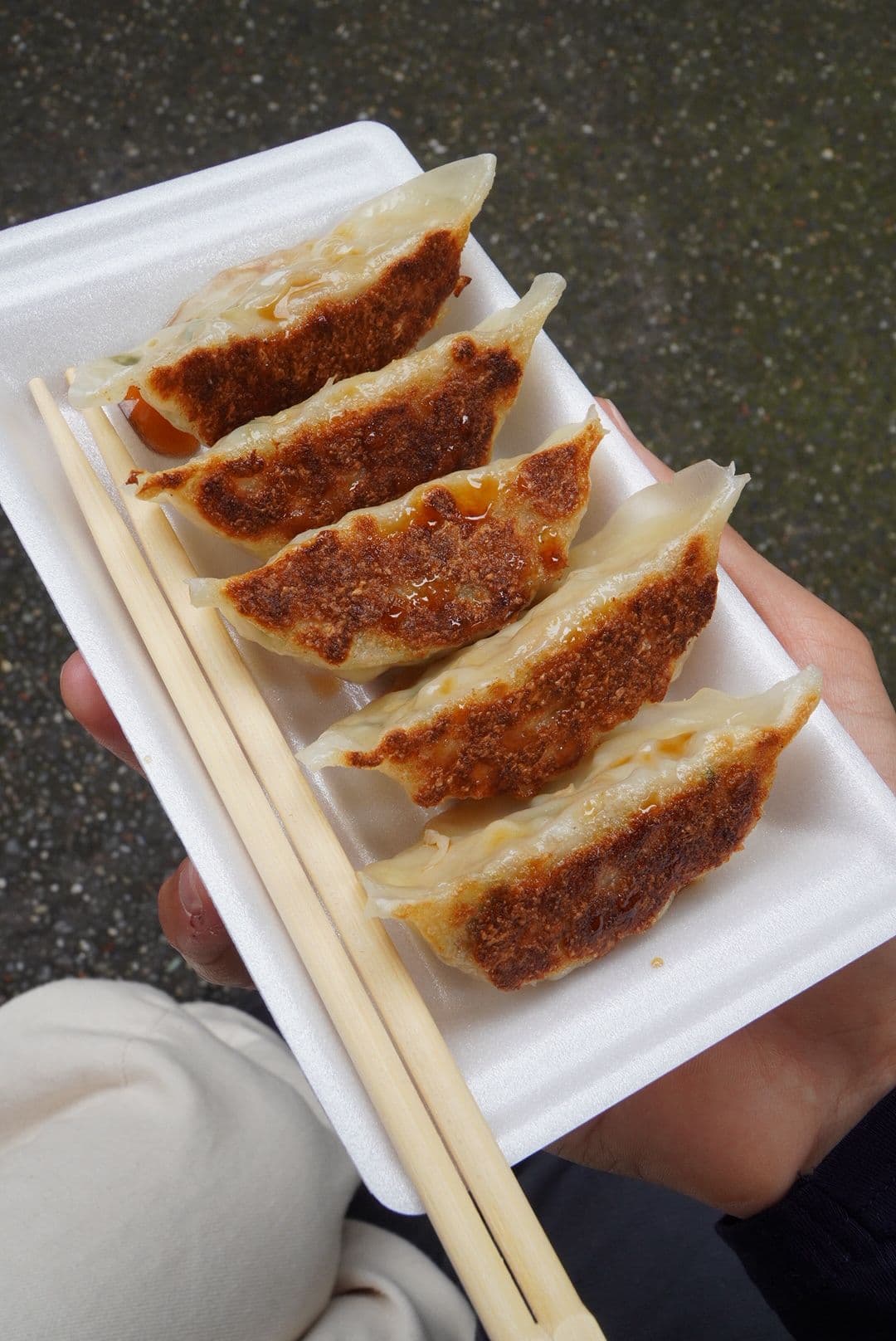 Bandeja de gyozas recién hechas